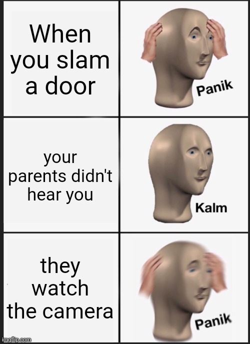 Me and you. | When you slam a door; your parents didn't hear you; they watch the camera | image tagged in memes,panik kalm panik | made w/ Imgflip meme maker