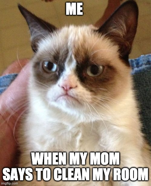 ... | ME; WHEN MY MOM SAYS TO CLEAN MY ROOM | image tagged in memes,grumpy cat | made w/ Imgflip meme maker
