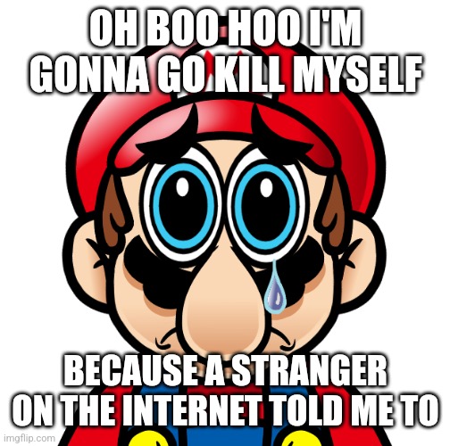 Spunch Bob Mario (Updated) | OH BOO HOO I'M GONNA GO KILL MYSELF; BECAUSE A STRANGER ON THE INTERNET TOLD ME TO | image tagged in spunch bob mario updated | made w/ Imgflip meme maker