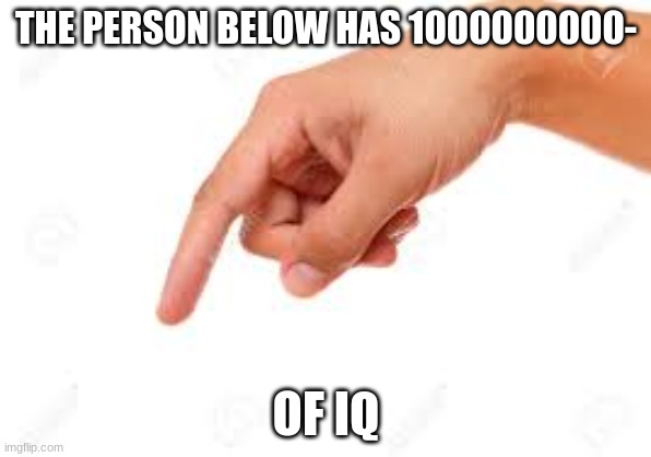 the person below | THE PERSON BELOW HAS 1000000000-; OF IQ | image tagged in the person below | made w/ Imgflip meme maker