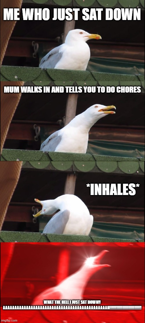 If this has happened to you, then welcome to LIFE | ME WHO JUST SAT DOWN; MUM WALKS IN AND TELLS YOU TO DO CHORES; *INHALES*; WHAT THE HELL I JUST SAT DOWN!! AAAAAAAAAAAAAAAAAAAAAAAAAAAAAAAAAAAAAAAAAAAAAH!!!!!!!!!!!!!!!!!!!!!!!!!!! | image tagged in memes,inhaling seagull | made w/ Imgflip meme maker