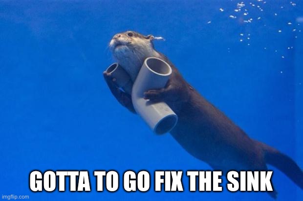 Lol | GOTTA TO GO FIX THE SINK | image tagged in plumbing otter | made w/ Imgflip meme maker