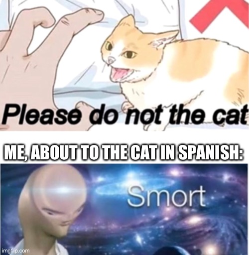 ME, ABOUT TO THE CAT IN SPANISH: | image tagged in meme man smort | made w/ Imgflip meme maker