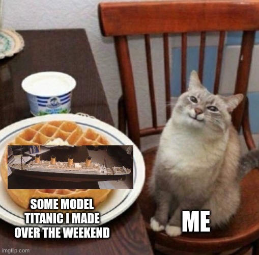 Cat likes their waffle |  ME; SOME MODEL TITANIC I MADE OVER THE WEEKEND | image tagged in cat likes their waffle | made w/ Imgflip meme maker