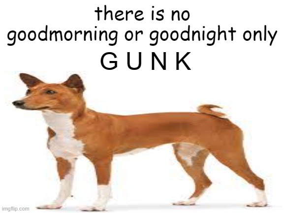 GUNK MY BOY! | there is no goodmorning or goodnight only; G U N K | image tagged in shitpost | made w/ Imgflip meme maker