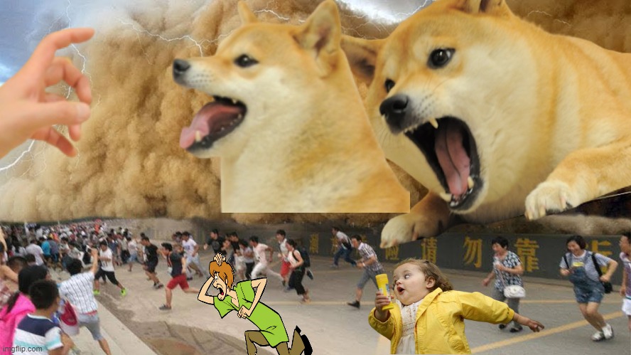 Furious wow | image tagged in doge | made w/ Imgflip meme maker