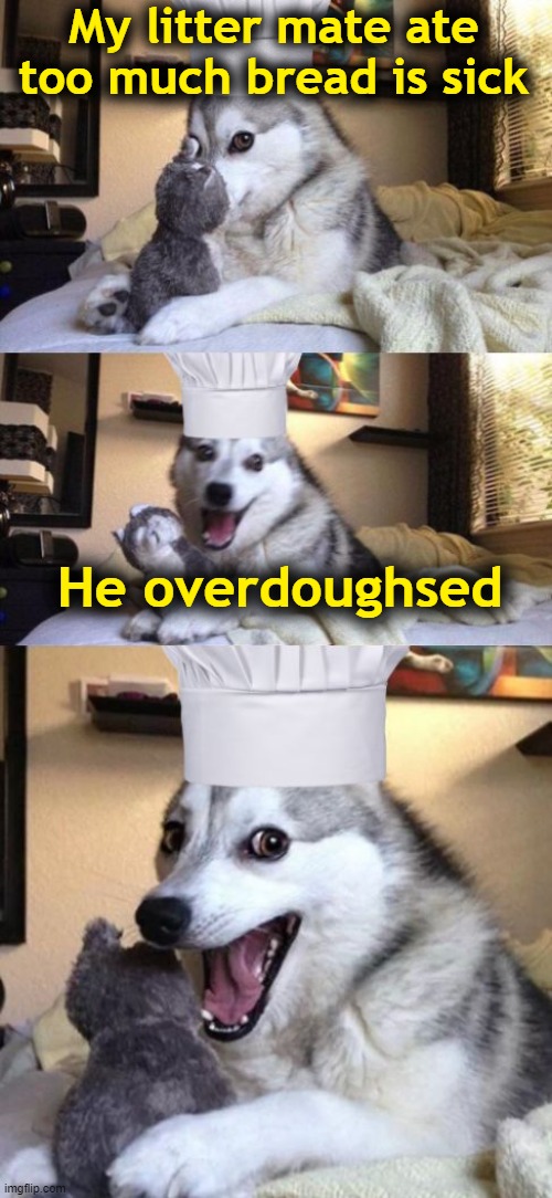 Beware of Bad bread and puns | My litter mate ate too much bread is sick; He overdoughsed | image tagged in bad pun dog voila le chef | made w/ Imgflip meme maker