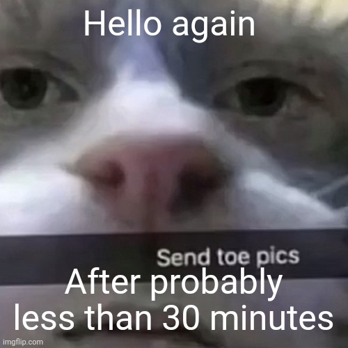 kat | Hello again; After probably less than 30 minutes | image tagged in kat | made w/ Imgflip meme maker