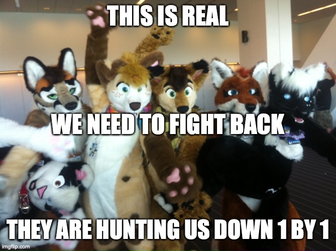 Furries | THIS IS REAL THEY ARE HUNTING US DOWN 1 BY 1 WE NEED TO FIGHT BACK | image tagged in furries | made w/ Imgflip meme maker