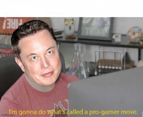 Elon Musk majority stockholder | image tagged in pro gamer move,elon musk,twitter | made w/ Imgflip meme maker