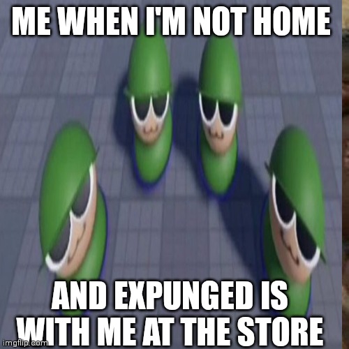 When I'm not home they throw parties while me and expunged are not home | ME WHEN I'M NOT HOME; AND EXPUNGED IS WITH ME AT THE STORE | image tagged in black kids dancing,brob,expunged | made w/ Imgflip meme maker