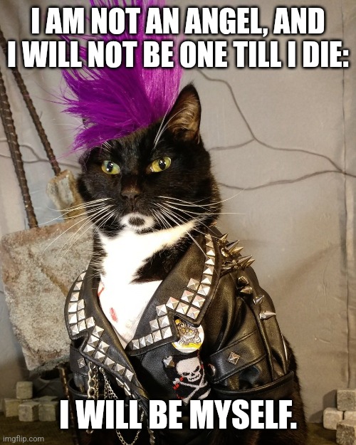 Punk meowin' rock! |  I AM NOT AN ANGEL, AND I WILL NOT BE ONE TILL I DIE:; I WILL BE MYSELF. | image tagged in punk rock,rebel,anarchy,nihilism | made w/ Imgflip meme maker