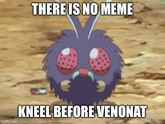 I was goofing off and made the weirdest meme I’ve ever made, | THERE IS NO MEME; KNEEL BEFORE VENONAT | image tagged in pokemon,what you look like after watching the first pokemon movie | made w/ Imgflip meme maker