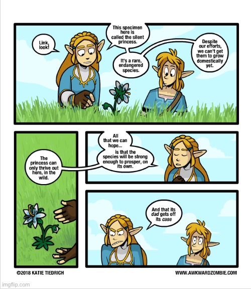 Lol | image tagged in the legend of zelda breath of the wild | made w/ Imgflip meme maker
