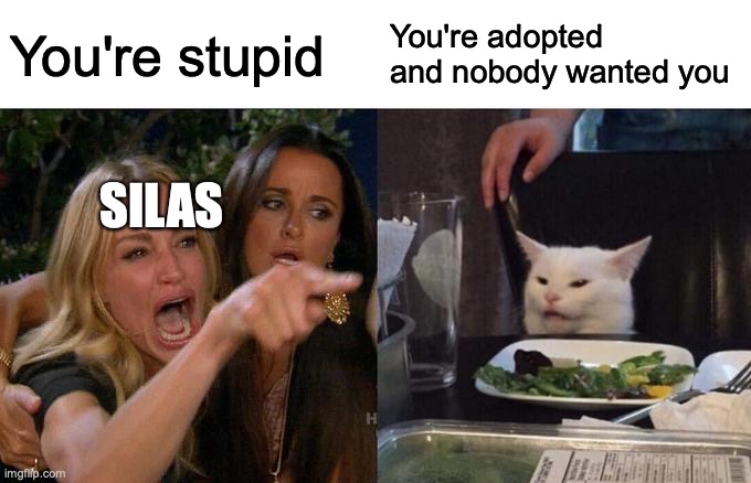 Woman Yelling At Cat | You're adopted and nobody wanted you; You're stupid; SILAS | image tagged in memes,woman yelling at cat | made w/ Imgflip meme maker