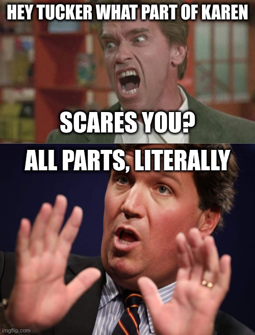 HEY TUCKER WHAT PART OF KAREN; SCARES YOU? ALL PARTS, LITERALLY | image tagged in angry,tucker fucker | made w/ Imgflip meme maker