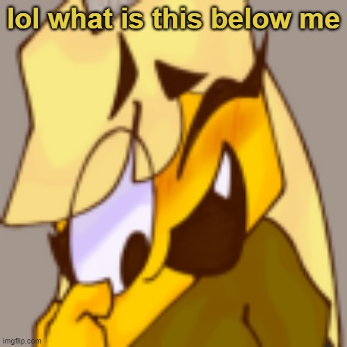 lol | lol what is this below me | made w/ Imgflip meme maker