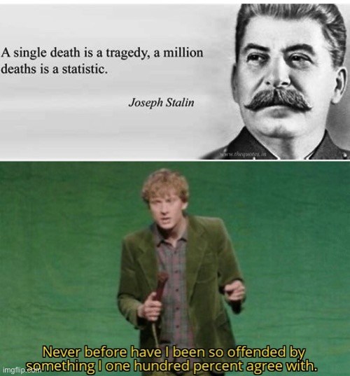 Think about it | image tagged in never before have i been so offended by something i one hundred,stalin,quotes,death,statistics | made w/ Imgflip meme maker
