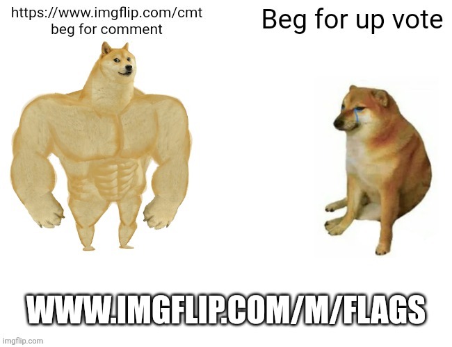 WWW.IMGFLIP.COM/M/FLAGS | made w/ Imgflip meme maker