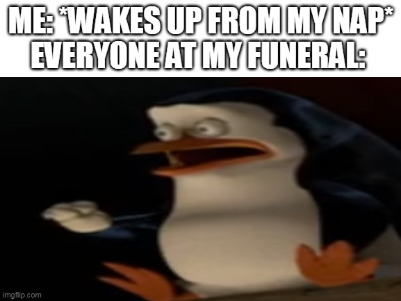 I woke up from my nap | ME: *WAKES UP FROM MY NAP*
EVERYONE AT MY FUNERAL: | image tagged in memes | made w/ Imgflip meme maker