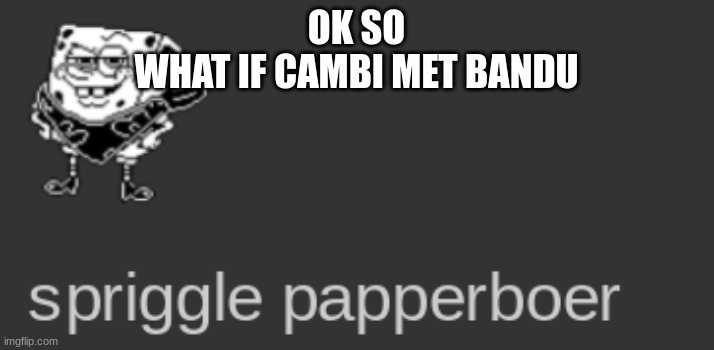 spriggle papperboer | OK SO
WHAT IF CAMBI MET BANDU | image tagged in spriggle papperboer | made w/ Imgflip meme maker