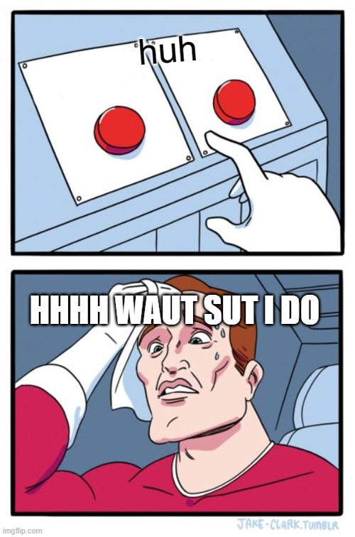 idk | huh; HHHH WAUT SUT I DO | image tagged in memes,two buttons | made w/ Imgflip meme maker