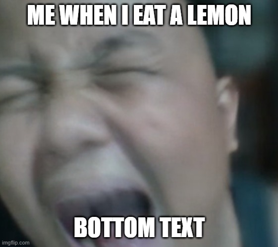 Lemon Meme | ME WHEN I EAT A LEMON; BOTTOM TEXT | image tagged in screaming man | made w/ Imgflip meme maker