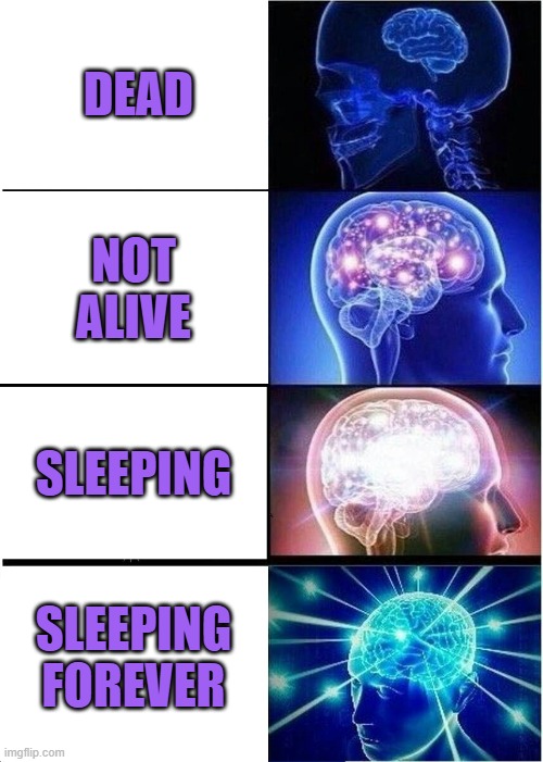 Expanding Brain | DEAD; NOT ALIVE; SLEEPING; SLEEPING FOREVER | image tagged in memes,expanding brain | made w/ Imgflip meme maker