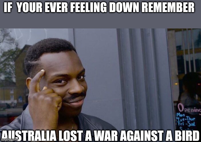 This has probably been over done but still | IF  YOUR EVER FEELING DOWN REMEMBER; AUSTRALIA LOST A WAR AGAINST A BIRD | image tagged in memes,roll safe think about it | made w/ Imgflip meme maker