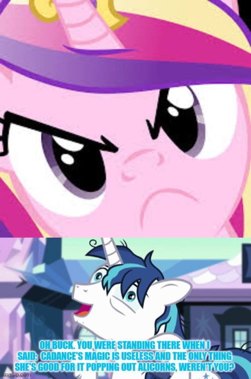 Pony problems | image tagged in pony,problems,princess,cadance,shining armor,mlp | made w/ Imgflip meme maker