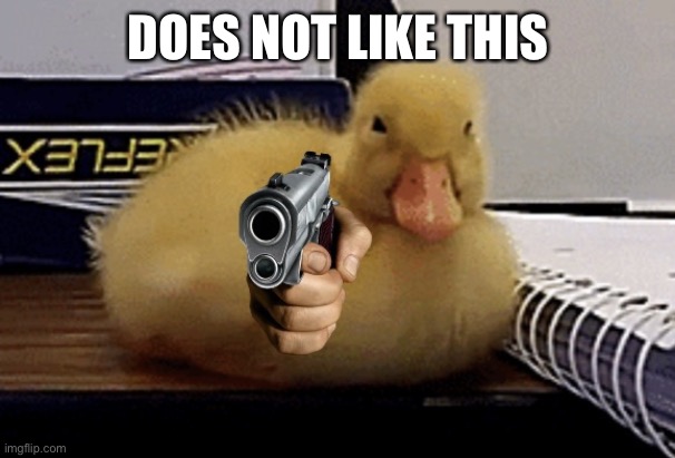 Baby Duckling Gun | DOES NOT LIKE THIS | image tagged in baby duckling gun | made w/ Imgflip meme maker
