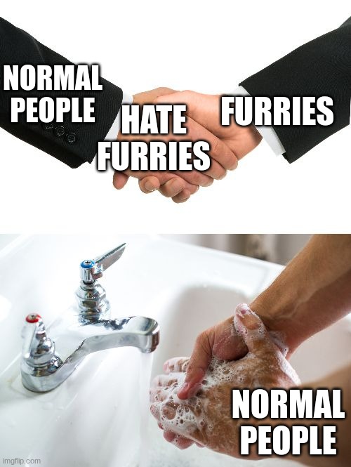 i need to take a long, hot shower | FURRIES; NORMAL PEOPLE; HATE FURRIES; NORMAL PEOPLE | image tagged in handshake washing hand | made w/ Imgflip meme maker