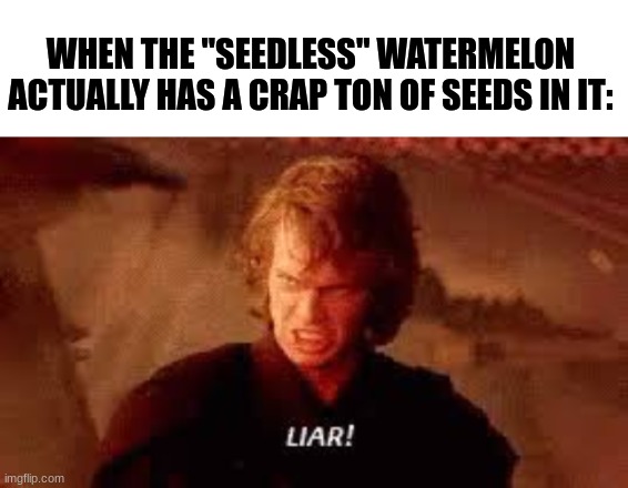 Companies do be cappin'... |  WHEN THE "SEEDLESS" WATERMELON ACTUALLY HAS A CRAP TON OF SEEDS IN IT: | image tagged in anakin liar,lies,memes,that wasnt very cash money,bruh | made w/ Imgflip meme maker