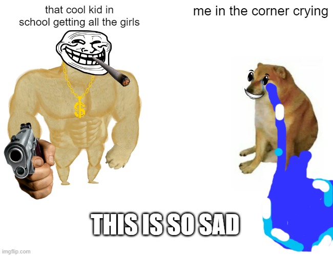 Buff Doge vs. Cheems Meme | that cool kid in school getting all the girls; me in the corner crying; THIS IS SO SAD | image tagged in memes,buff doge vs cheems | made w/ Imgflip meme maker