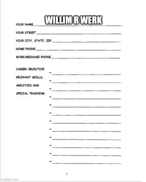 A useful resume | WILLIM R WERK | image tagged in a useful resume | made w/ Imgflip meme maker