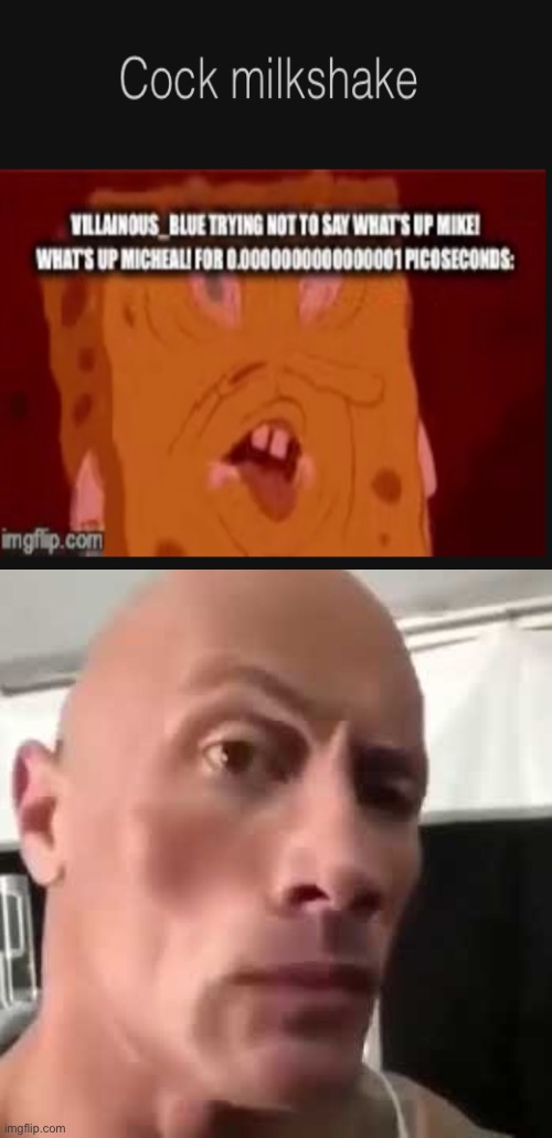 The Rock Eyebrows | image tagged in the rock eyebrows | made w/ Imgflip meme maker