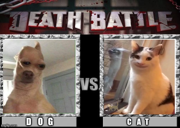 a battle as old as time |  D    O   G; C    A   T | image tagged in death battle | made w/ Imgflip meme maker