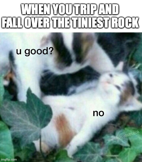 this is new! | WHEN YOU TRIP AND FALL OVER THE TINIEST ROCK | image tagged in u good no,funny,memes,fun,barney will eat all of your delectable biscuits,pls like | made w/ Imgflip meme maker