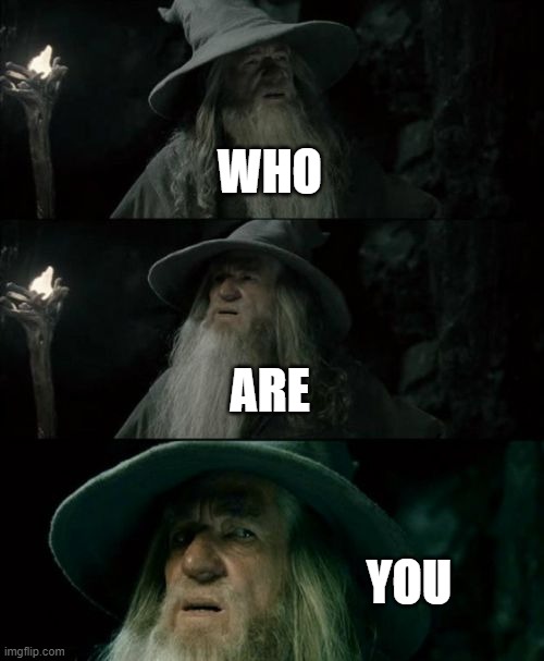 Confused Gandalf | WHO; ARE; YOU | image tagged in memes,confused gandalf | made w/ Imgflip meme maker
