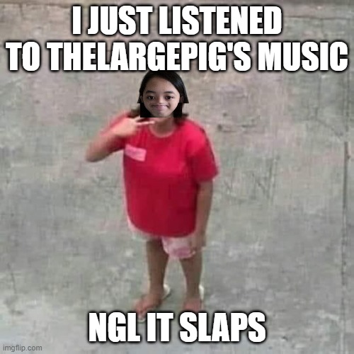 Jemy posing at camera | I JUST LISTENED TO THELARGEPIG'S MUSIC; NGL IT SLAPS | image tagged in jemy posing at camera | made w/ Imgflip meme maker