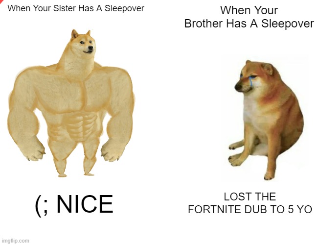 nice | When Your Sister Has A Sleepover; When Your Brother Has A Sleepover; (; NICE; LOST THE FORTNITE DUB TO 5 YO | image tagged in memes,buff doge vs cheems | made w/ Imgflip meme maker