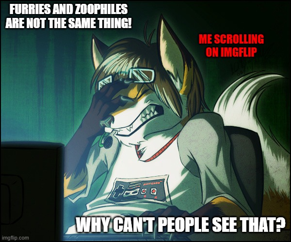 Furries hate zoophiles too! |  FURRIES AND ZOOPHILES ARE NOT THE SAME THING! ME SCROLLING ON IMGFLIP; WHY CAN'T PEOPLE SEE THAT? | image tagged in furry facepalm,annoyed,furry,anti furry | made w/ Imgflip meme maker