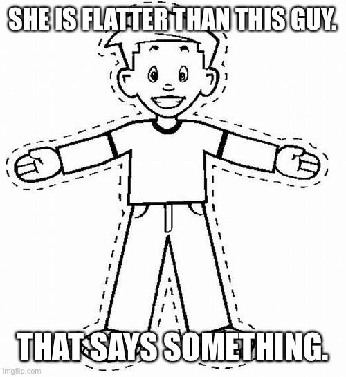 Flat Stanley | SHE IS FLATTER THAN THIS GUY. THAT SAYS SOMETHING. | image tagged in flat stanley | made w/ Imgflip meme maker