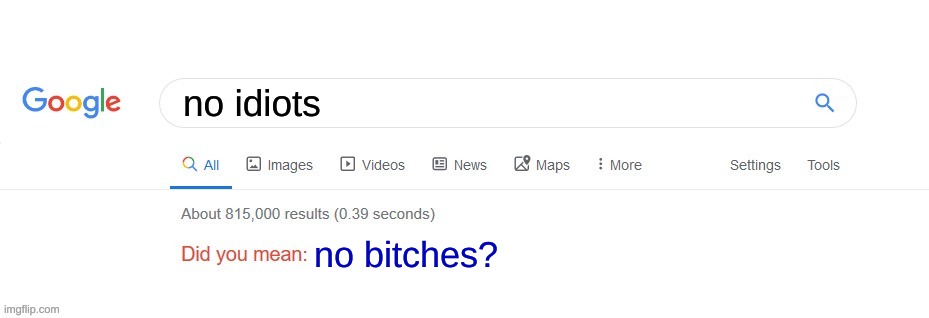Did you mean? | no idiots; no bitches? | image tagged in did you mean | made w/ Imgflip meme maker