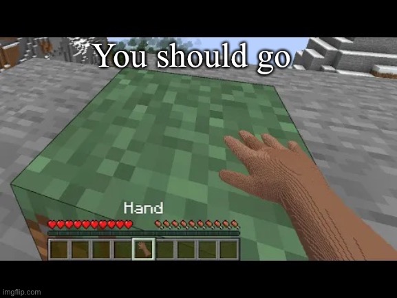 Hand touching Minecraft grass block | You should go | image tagged in hand touching minecraft grass block | made w/ Imgflip meme maker