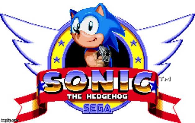 i think this is the wrong sonic CD..... | image tagged in uh oh,sonic,gun | made w/ Imgflip meme maker