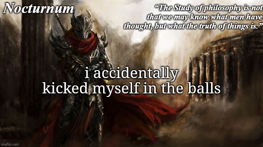 Nocturnum's knight temp | i accidentally kicked myself in the balls | image tagged in nocturnum's knight temp | made w/ Imgflip meme maker