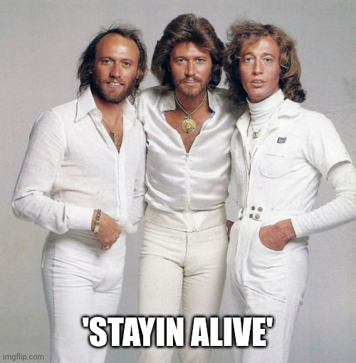Bee Gees | 'STAYIN ALIVE' | image tagged in bee gees | made w/ Imgflip meme maker