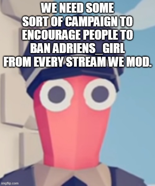 TABS Stare | WE NEED SOME SORT OF CAMPAIGN TO ENCOURAGE PEOPLE TO BAN ADRIENS_GIRL FROM EVERY STREAM WE MOD. | image tagged in tabs stare | made w/ Imgflip meme maker