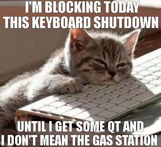 the last straw | I'M BLOCKING TODAY THIS KEYBOARD SHUTDOWN; UNTIL I GET SOME QT AND I DON'T MEAN THE GAS STATION | image tagged in tired cat | made w/ Imgflip meme maker